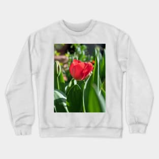 Red Tulip flower with green leaves Crewneck Sweatshirt